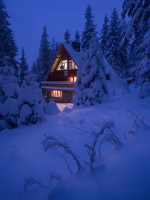 Фото Домик в зимнем лесу, фотограф Емил Рашковски
