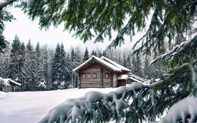 Пазл домик зимний в лесу (ветки, ель, зима, снег, дом, лес) - разгадать  онлайн из раздела \"Природа\" бесплатно