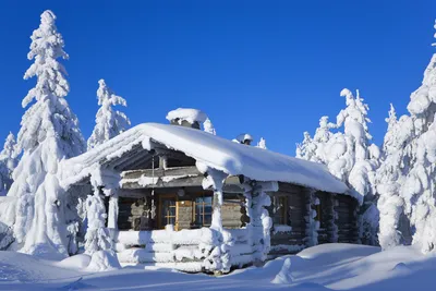 Обои коттедж, зима, бревенчатый домик, снег, дерево - картинка на рабочий  стол и фото бесплатно
