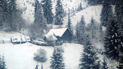 Домик в зимнем лесу - 64 фото