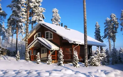 зимний лес и домик: 9 тыс изображений найдено в Яндекс.Картинках | Snow  house, Cross paintings, Winter nature