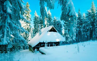 Деревянный дом в зимнем лесу в Колорадо, США - обои для рабочего стола,  картинки, фото