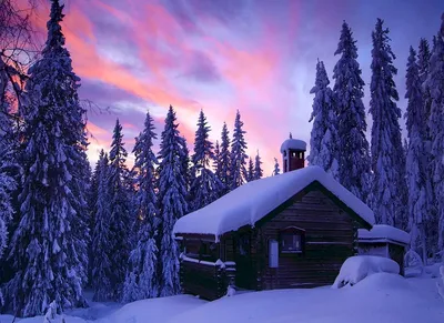 Собирать пазлы онлайн - Дом в зимнем лесу