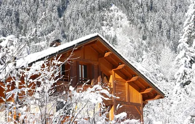 Деревянный дом в зимнем лесу на закате - обои для рабочего стола, картинки,  фото