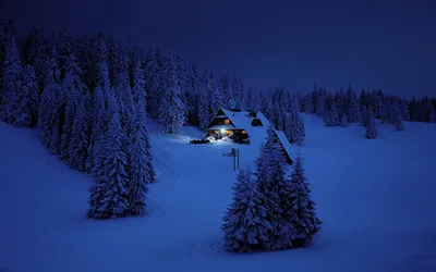 Фотографии Ель Зима Природа Леса Снег ночью Здания 3840x2400