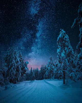 Фото Дорога в зимнем лесу, by itseriksen