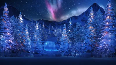 Волшебный зимний ночной лес - 62 фото