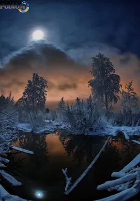 Зимний лес под луной - фото и картинки: 32 штук