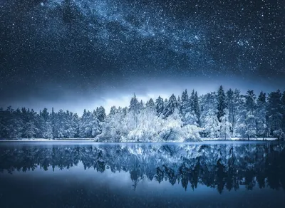 Картина по номерам \"Зимний пейзаж с мостом. Зима. Снег. Ночь. Волшебство.  Озеро. Зимний лес. Мост\" — купить в интернет-магазине OZON с быстрой  доставкой