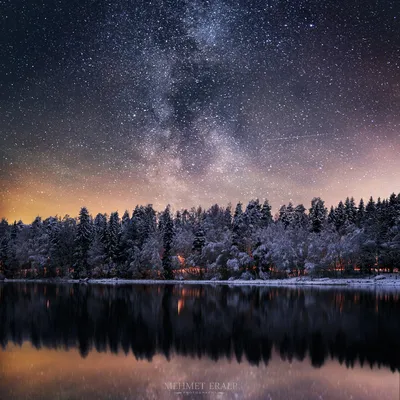 Зимний лес ночью Изображения – скачать бесплатно на Freepik