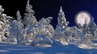Картина \"Звёздная ночь в лесу\". Млечный путь, зимний лес – купить на  Ярмарке Мастеров – N7DZ0RU | Картины, Самара