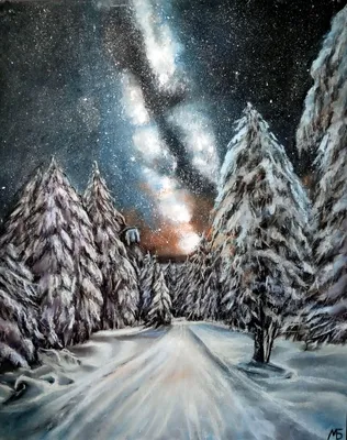 Фотография «Зимний лес ночью — это то место, где обязательно нужно  побывать❄️…»