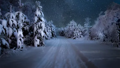 Зимняя ночь картинки (42 фото) » Юмор, позитив и много смешных картинок