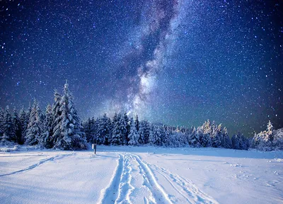 Зимний лес ночной вид плоский стиль новогодний фон, зима, ночной вид,  рождество фон картинки и Фото для бесплатной загрузки