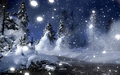 Сказочный зимний лес ночью - 47 фото
