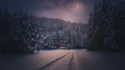 Winter 2013. Зимняя сказка. Времена года. Зимний лес (Релакс.) - YouTube