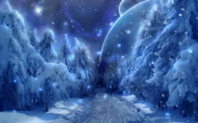 Зимний лес в ночь полной луны | Сергей Рудаков