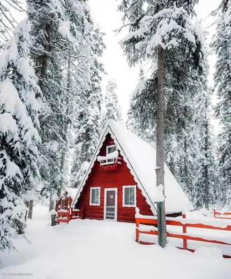Прекрасный домик, зимний лес, сказка😍: remont_kvartiri — LiveJournal