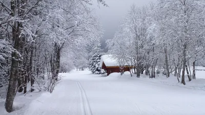 Домик в зимнем лесу - обои для рабочего стола, картинки, фото