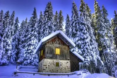 Домик в зимнем лесу - фото и картинки: 30 штук