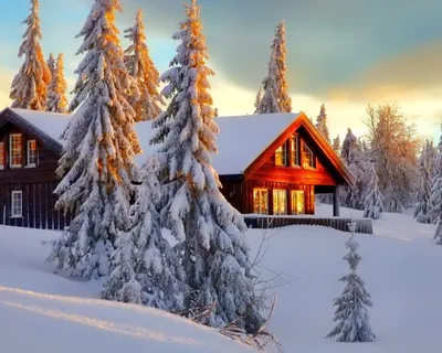 Дом в снегу - 72 фото | Дом, Зимний дом, Лес