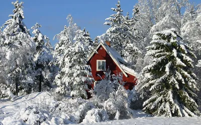 Картинка Домик в зимнем лесу » Зима » Природа » Картинки 24 - скачать  картинки бесплатно