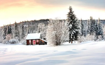 Зимний домик на краю леса | Обои для телефона