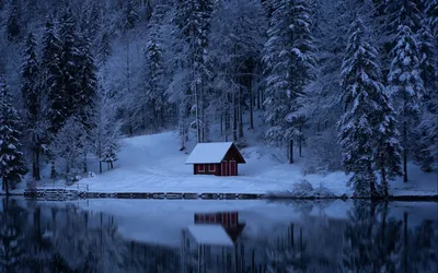 Одинокий домик в зимнем лесу - 56 фото