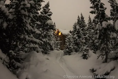 Избушка в зимнем лесу - 62 фото