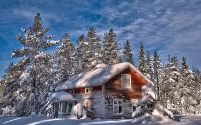 Зимний пейзаж с домиком в лесу - фото и картинки: 35 штук
