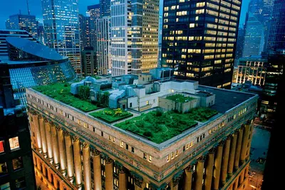 Сады на Крыше (+30 фото) Достоинства Зеленой Крыши