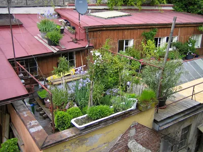 Сад на крыше, фото и советы | Сажаем Сад