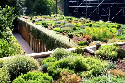 Зеленая крыша или «Сад в облаках» / Идеи для сада / Royal Gardens