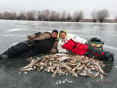 Зимняя рыбалка в Киеве на платных и бесплатных водоёмах фото