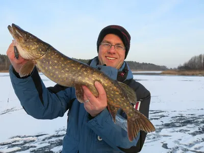 Зимняя ловля щуки на водохранилище - Salmo Belarus