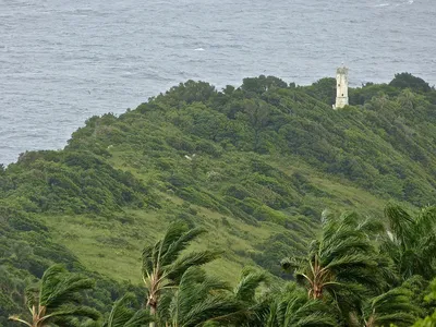 Змеиный остров Кеймада-Гранди, Бразилия — подробная информация с фото