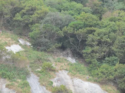 Змеиный остров Кеймада-Гранди, Бразилия — подробная информация с фото