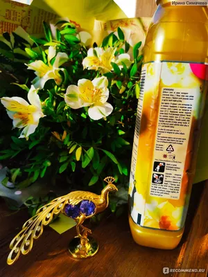 Конфетница Michael Aram Золотая орхидея 17 см, сталь нержавеющая (Michael  Aram) - купить в Москве в Williams Et Oliver