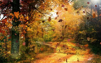 Осенний лес с золотыми деревьями | Обои для телефона