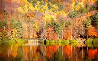 Золотая осень в Сигулде - 71 фото