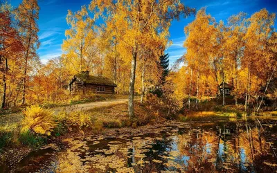 Золотая осень в России - 71 фото