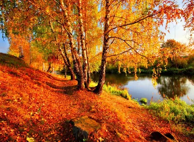 Золотая осень пейзаж - 56 фото