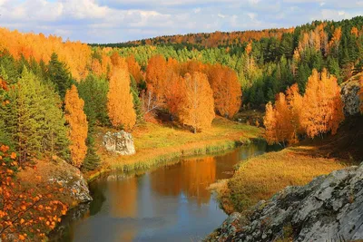 Золотая осень в России - 10 вариантов устроить себе каникулы |  Туристический бизнес Санкт-Петербурга