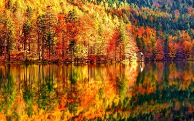 Золотая осень, лес вдоль реки - обои на рабочий стол
