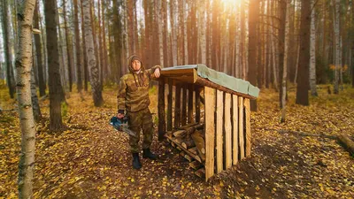 Осенний лес Изображения – скачать бесплатно на Freepik