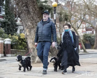 Хелену Бонэм Картер сфотографировали в компании ее коллеги Грега Дэвисона —  Шоу-бизнес — tsn.ua