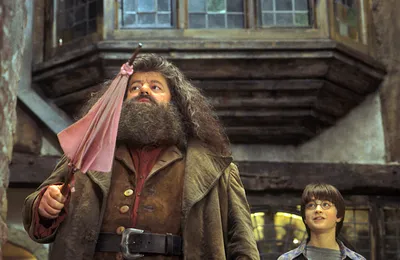 Умер 72-летний актер Робби Колтрейн, сыгравший Хагрида в «Гарри Поттере» |  WMJ.ru