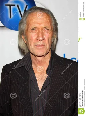 Фото: Дэвид Кэрредин (David Carradine) | Фото 1