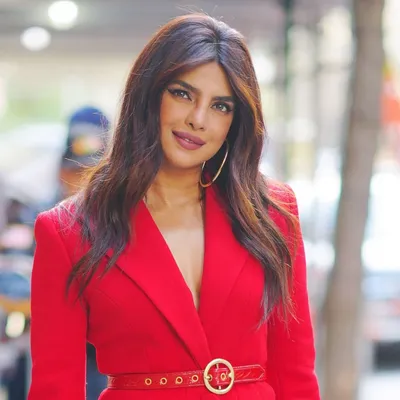 Priyanka Chopra and Nick Jonas welcome baby born via surrogate - National |  Globalnews.ca