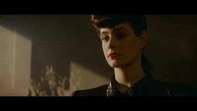 Шон Янг (Sean Young) - актриса - фотографии - голливудские актрисы -  Кино-Театр.Ру